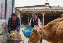 Cina: le storie di tre ex servi della gleba dallo Xizang (2)