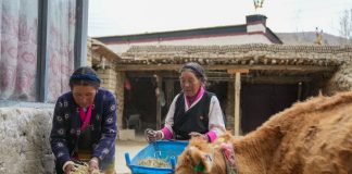 Cina: le storie di tre ex servi della gleba dallo Xizang (2)