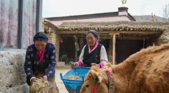 Cina: le storie di tre ex servi della gleba dallo Xizang (2)