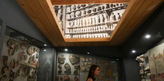 In tutta Italia musei gratis con la “Domenica al museo” (2)