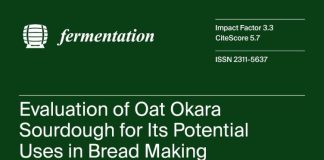 Il pane prodotto con lievito madre di “okara” presenta caratteristiche nutrizionali migliori: la ricerca dell’Università Cattolica sulla rivista Fermentation