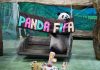Cina: Zoo di Taipei, panda gigante Yuan Zai festeggia tredicesimo compleanno (2)