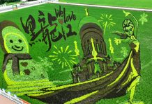 Cina: Heilongjiang, opere d’arte nelle risaie (1)