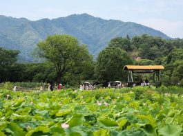 Cina emetterà 450 mln di yuan di buoni di consumo per il turismo estivo