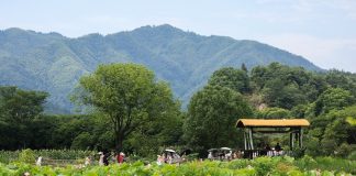 Cina emetterà 450 mln di yuan di buoni di consumo per il turismo estivo