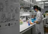 Cina: Shanghai, CAS punta su ricerca di base sostenendo giovani talenti (1)