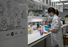 Cina: Shanghai, CAS punta su ricerca di base sostenendo giovani talenti (1)