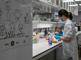 Cina: Shanghai, CAS punta su ricerca di base sostenendo giovani talenti (1)