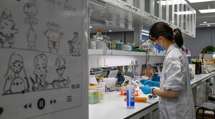 Cina: Shanghai, CAS punta su ricerca di base sostenendo giovani talenti (1)