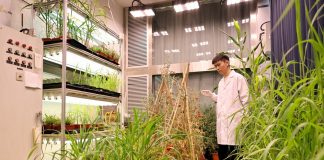 Cina: Shanghai, CAS punta su ricerca di base sostenendo giovani talenti (2)