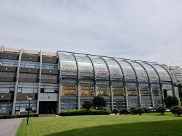 Cina: Shanghai, CAS punta su ricerca di base sostenendo giovani talenti (3)