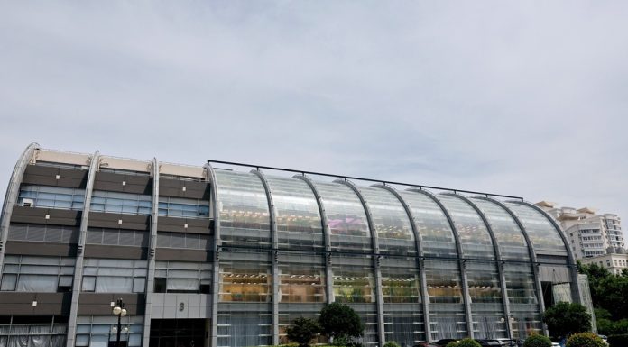 Cina: Shanghai, CAS punta su ricerca di base sostenendo giovani talenti (3)
