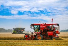 Cina: per la prima volta il raccolto di cereali estivi supera 150 mln tonnellate