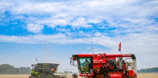 Cina: per la prima volta il raccolto di cereali estivi supera 150 mln tonnellate