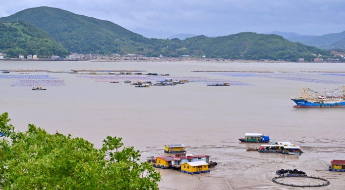 Cina: Fujian rafforza le misure preventive per l’arrivo del tifone Bavi (2)