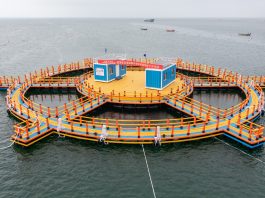 Cina: inaugurato grande laboratorio offshore per studi su ecosistemi costieri
