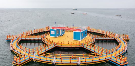 Cina: inaugurato grande laboratorio offshore per studi su ecosistemi costieri