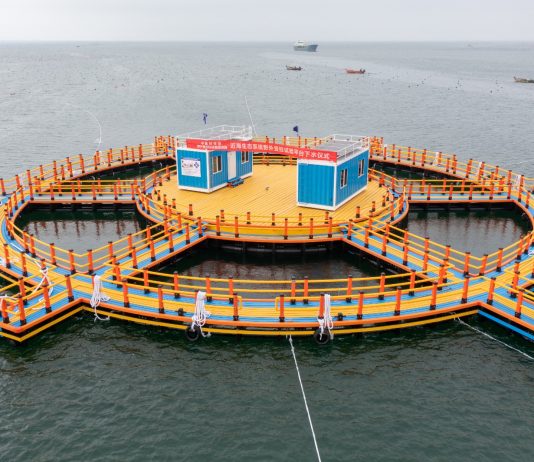 Cina: inaugurato grande laboratorio offshore per studi su ecosistemi costieri