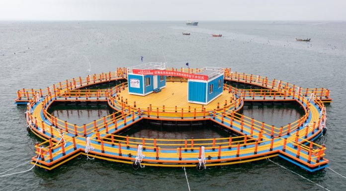 Cina: inaugurato grande laboratorio offshore per studi su ecosistemi costieri