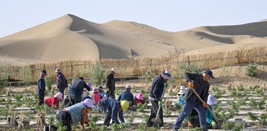 Cina: calano tempeste di sabbia dopo decenni di interventi anti-desertificazione