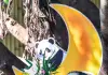 Cina: Chongqing, il panda gigante Wang Shu festeggia il suo primo compleanno (1)