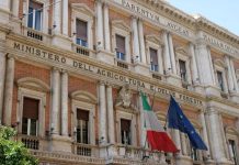 Al Masaf la Cabina di regia sui controlli dell’agroalimentare, Lollobrigida: “Tolleranza zero per chi non rispetta le regole”