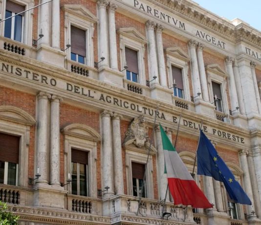 Al Masaf la Cabina di regia sui controlli dell’agroalimentare, Lollobrigida: “Tolleranza zero per chi non rispetta le regole”