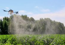 Cina: Heilongjiang, in corso operazioni aeree per proteggere le colture (3)