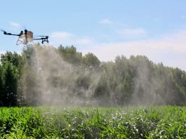 Cina: Heilongjiang, in corso operazioni aeree per proteggere le colture (3)