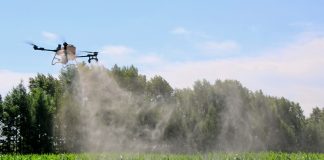 Cina: Heilongjiang, in corso operazioni aeree per proteggere le colture (3)