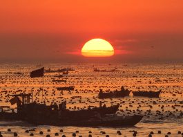Cina: Shandong, allevamenti marini riprendono attività dopo il tifone Bavi (2)