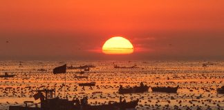 Cina: Shandong, allevamenti marini riprendono attività dopo il tifone Bavi (2)