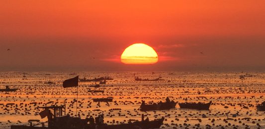 Cina: Shandong, allevamenti marini riprendono attività dopo il tifone Bavi (2)