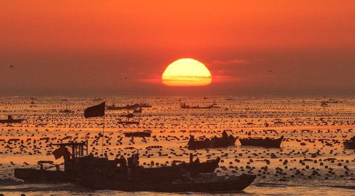 Cina: Shandong, allevamenti marini riprendono attività dopo il tifone Bavi (2)