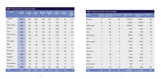 Icqrf e Conaf insieme per l’eccellenza del made in Italy: ecco il report del 2025