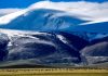Cina: Xizang, antilopi tibetane attraversano il Senlong Zangbo (1)