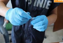 Mafia e droga nel Trapanese, blitz con 12 arresti / Video