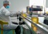 Cina: a Raohe l’industria delle api nere diventa un settore chiave (1)