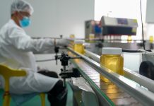 Cina: a Raohe l’industria delle api nere diventa un settore chiave (1)