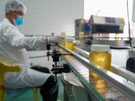 Cina: a Raohe l’industria delle api nere diventa un settore chiave (1)
