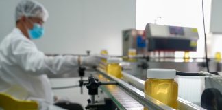 Cina: a Raohe l’industria delle api nere diventa un settore chiave (1)