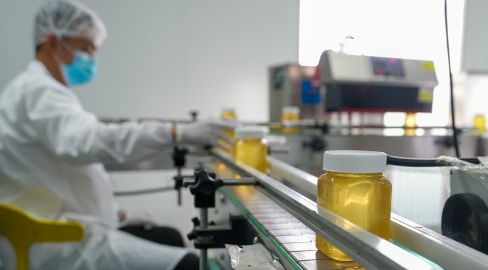 Cina: a Raohe l’industria delle api nere diventa un settore chiave (1)