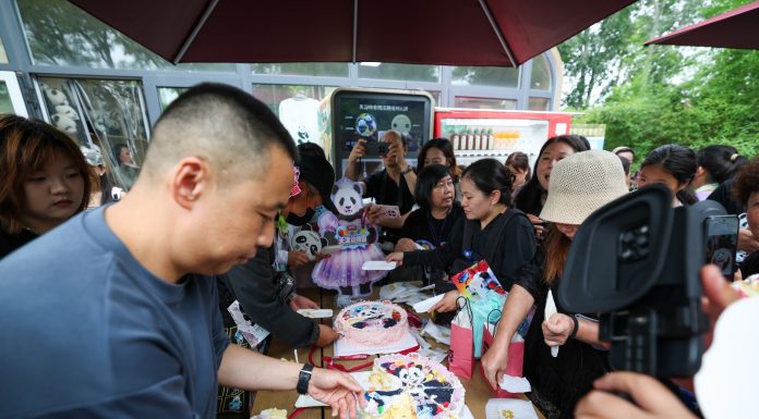Cina: Tianjin, il panda gigante Xi Le festeggia 13 anni (3)