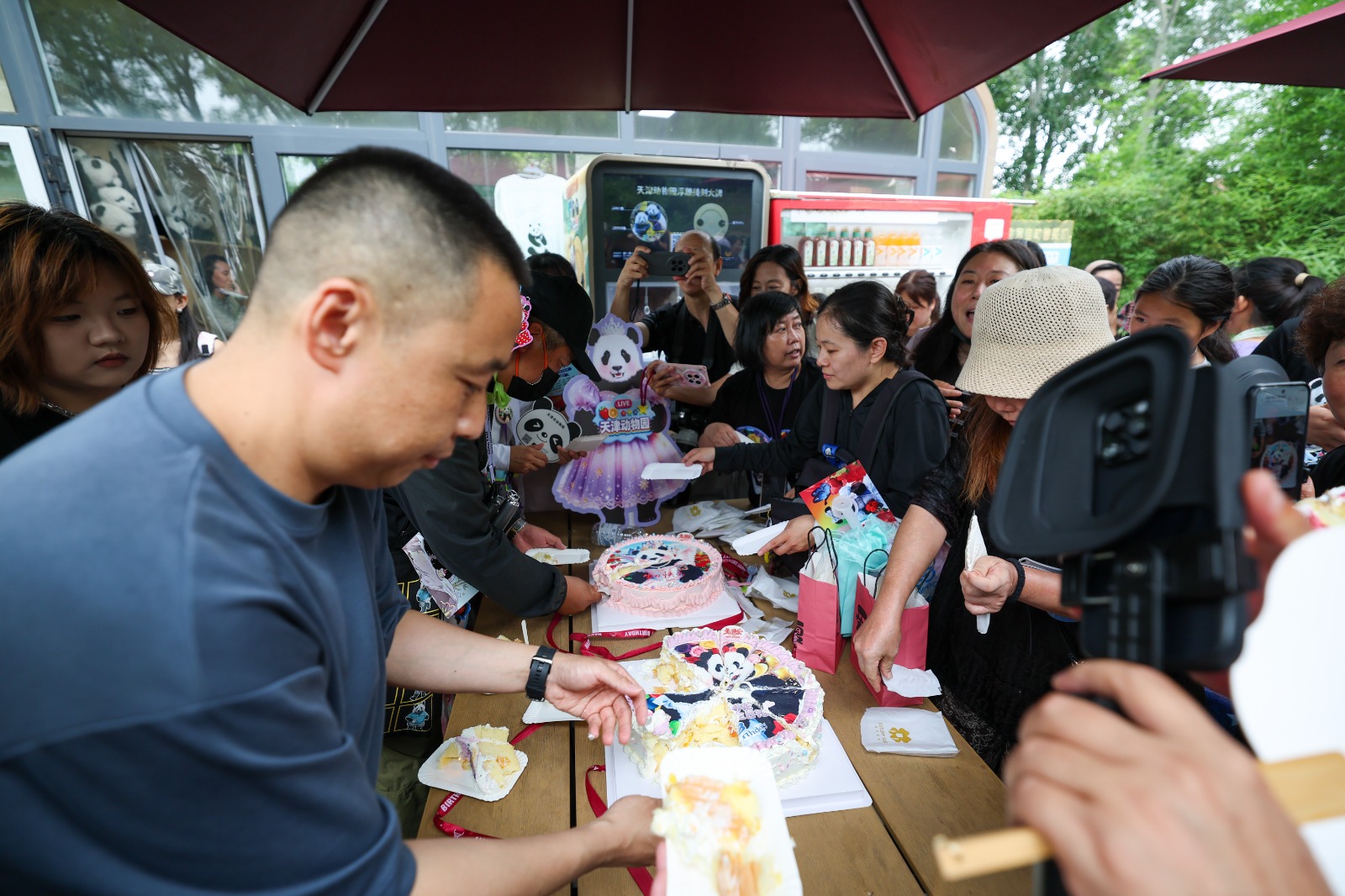 Cina: Tianjin, il panda gigante Xi Le festeggia 13 anni (3)