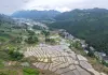 Cina: produzione estiva di cereali supera i 150 milioni di tonnellate