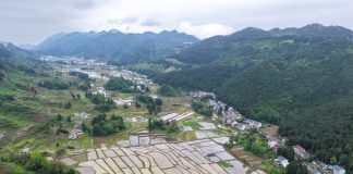 Cina: produzione estiva di cereali supera i 150 milioni di tonnellate