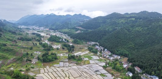 Cina: produzione estiva di cereali supera i 150 milioni di tonnellate