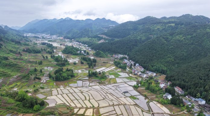 Cina: produzione estiva di cereali supera i 150 milioni di tonnellate
