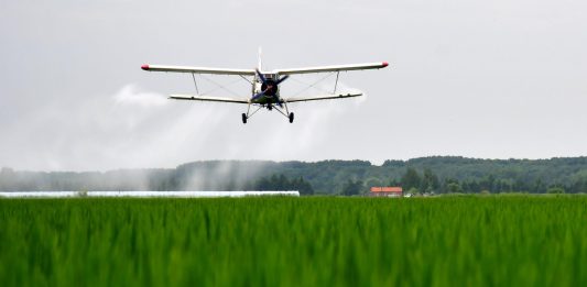 Cina: investimenti e consumi nelle aree rurali in costante crescita a gen-giu