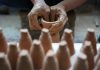 Cina: siti della porcellana di Jingdezhen diventano patrimonio UNESCO (1)